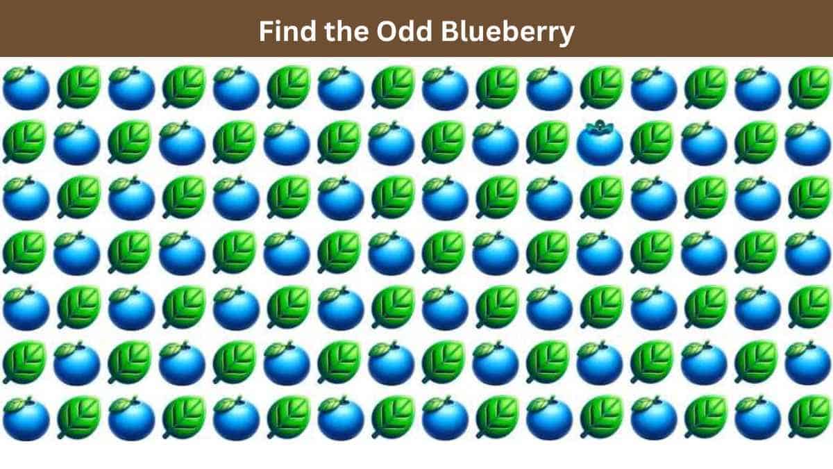 Visual Skill Test: Find the odd blueberry in 3 seconds!