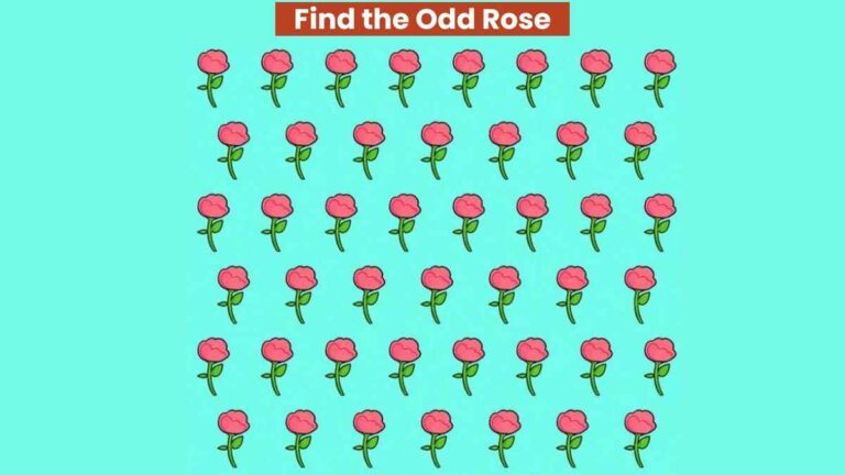 Visual Skill Test: Find the odd rose in the picture in 5 seconds!