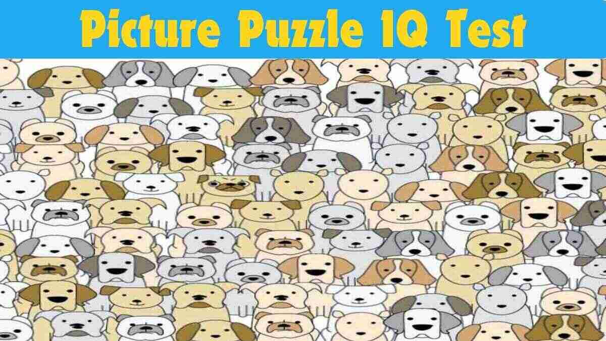 Picture Puzzle IQ Test: Your IQ Is Higher Than 130 if You Spot The Pug in 13 Seconds