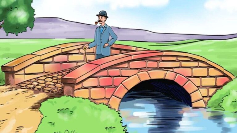 Brain Teaser: Are You High IQ? Spot What's Wrong With This Bridge Picture in 5 Seconds!