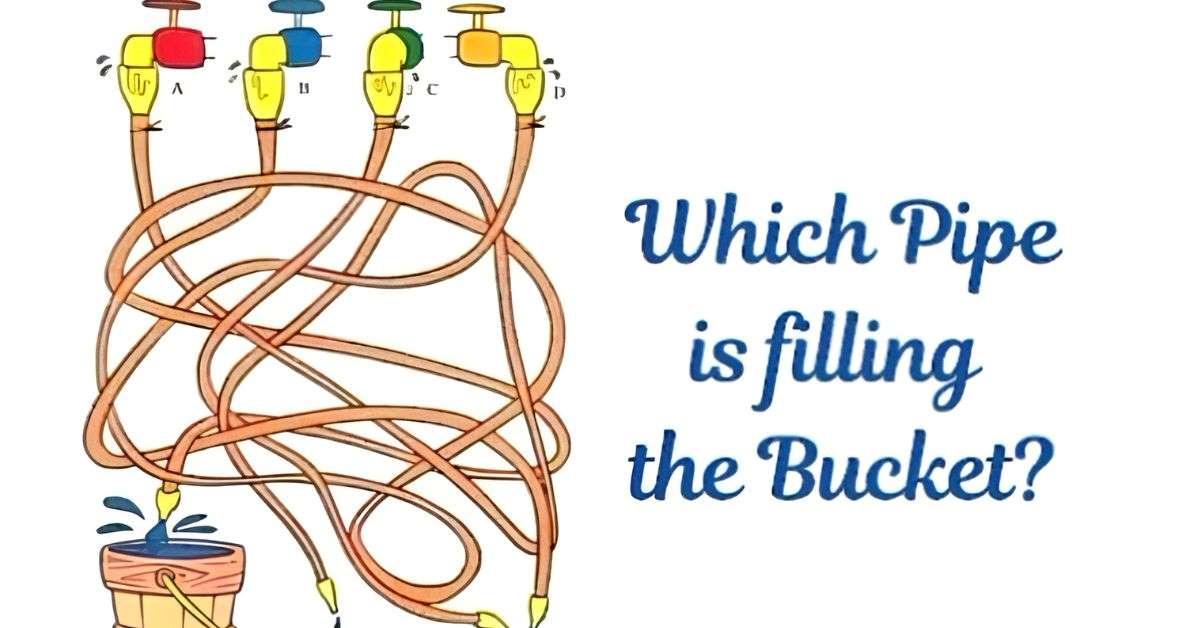 Brain Teaser: Can Your High IQ Find Which Pipe is Filling the Bucket in 5 Seconds?