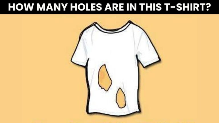 Brain Teaser IQ Test: How Many Holes Are In This T-Shirt? 99% Fail To Answer Correctly in 8 Seconds!