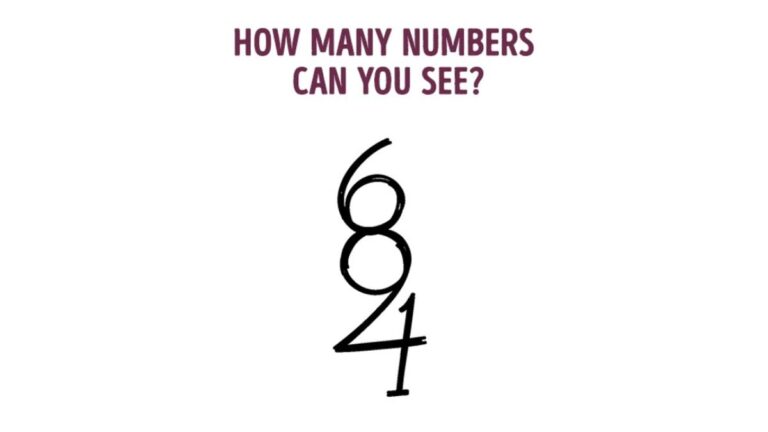 Brain Teaser IQ Test: How Many Numbers Do You See in 5 Seconds?