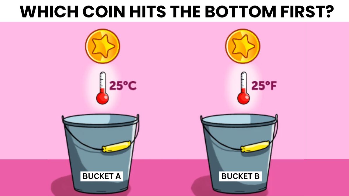 Brain Teaser: Which Coin Touches The Bottom First? Only Highly Intelligent People Pass This IQ Test In 8 Seconds!