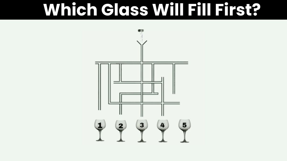 Brain Teaser: Which Glass Will Fill First? Only Top 1% Geniuses Pass This IQ Test in 5 Seconds!