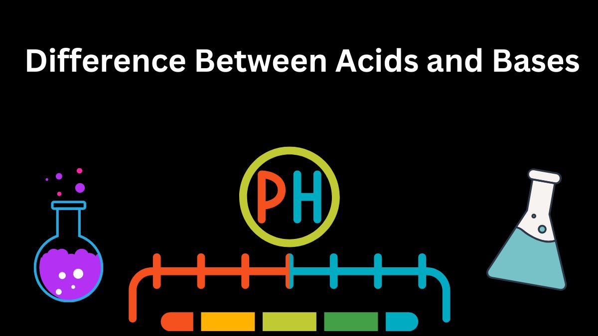 Difference Between Acids and Bases