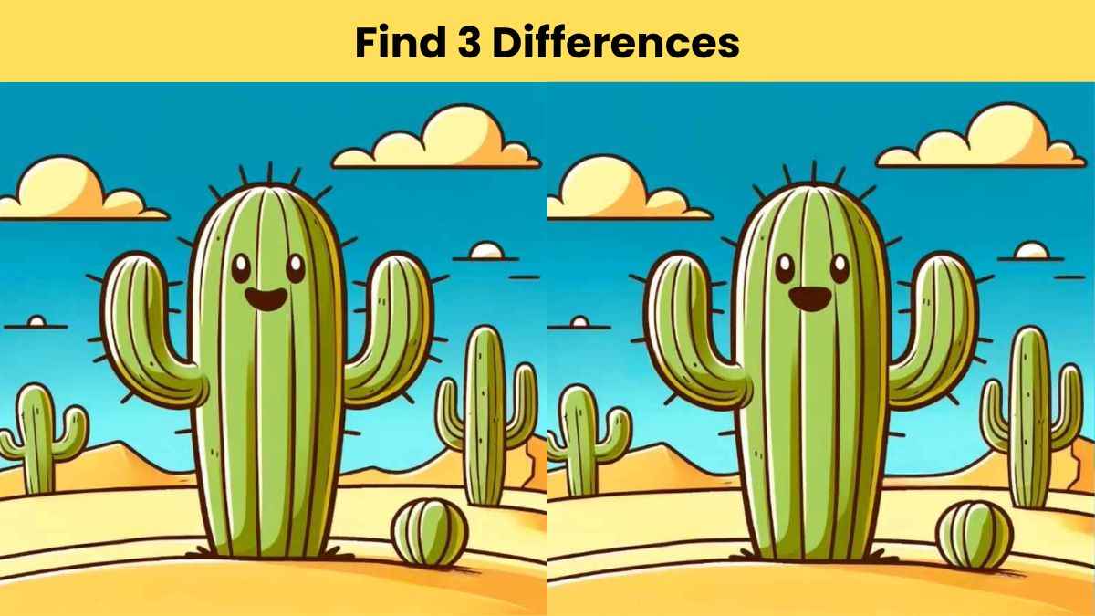 Find 3 differences between the cactus pictures in 11 seconds!