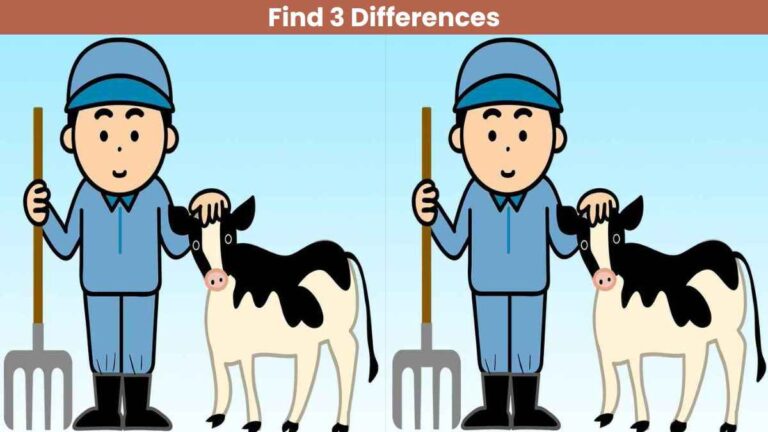 Find 3 differences between the farmer and his cow pictures in 16 seconds!