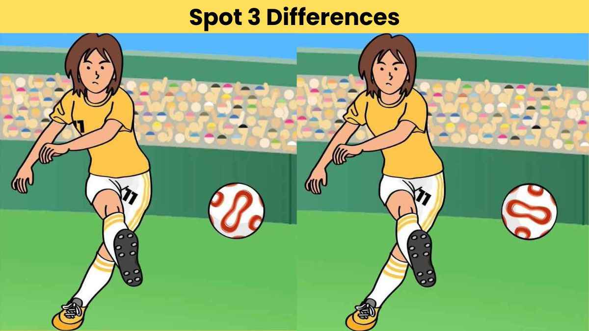 Find 3 differences between the guy taking free-kick pictures in 15 seconds!