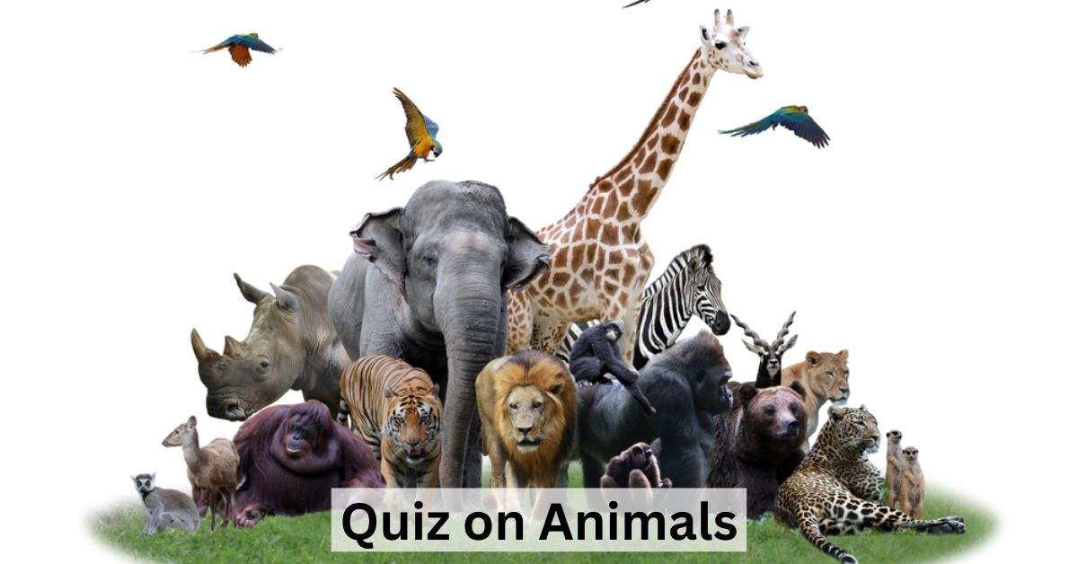 GK Quiz on Animals: How Sharp is Your Animal Knowledge? Take this Quiz to Find Out!