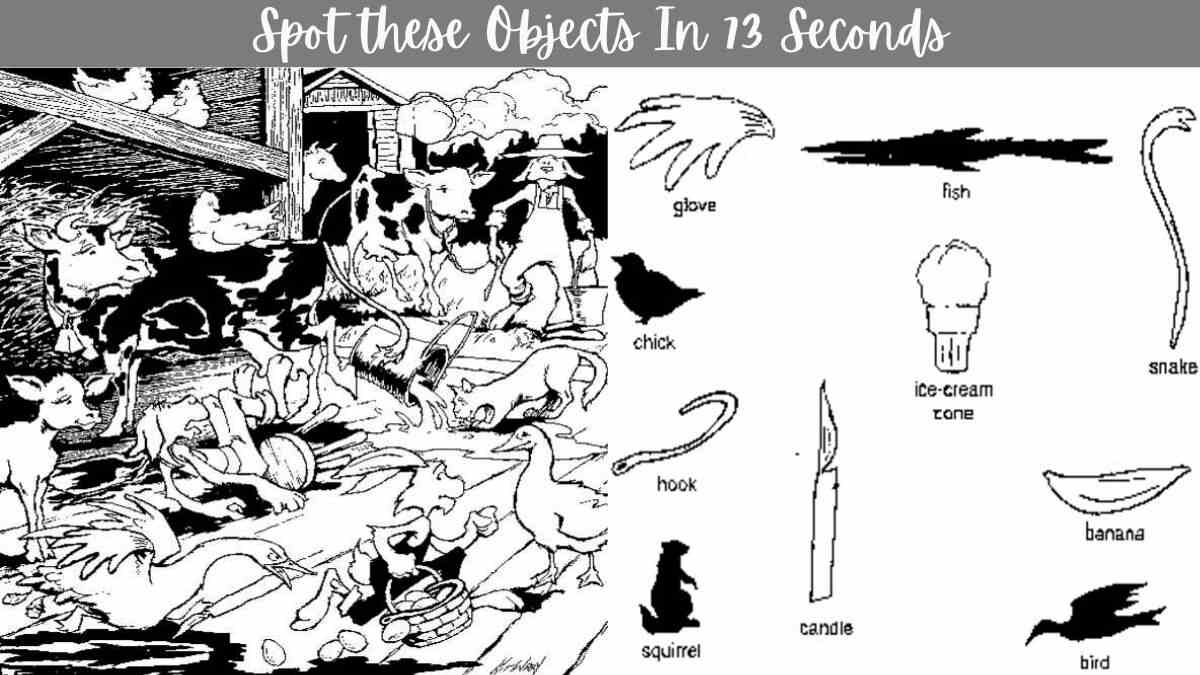 Optical Illusion Challenge: Spot these Objects In 73 Seconds In this Picture Puzzle