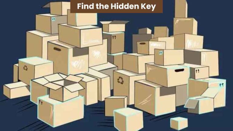 Optical Illusion IQ Test: Can you spot the hidden key in the warehouse in 7 seconds?