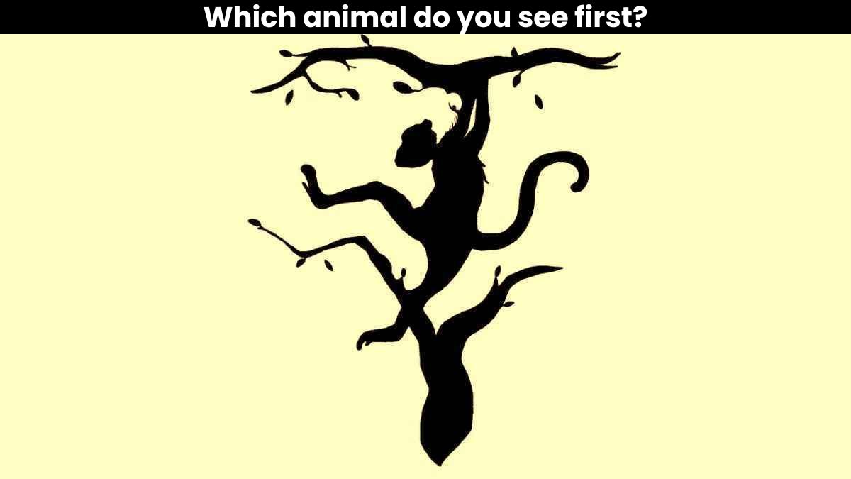 Optical Illusion: The animal you see first reveals whether you are analytical or creative