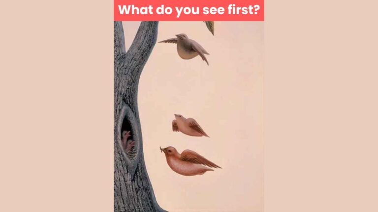 Optical Illusion: What you see first reveals the deepest desires you have in life