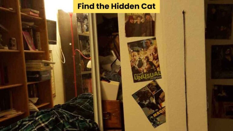 Optical Illusion to Test Your IQ: Find the hidden cat in 6 seconds!