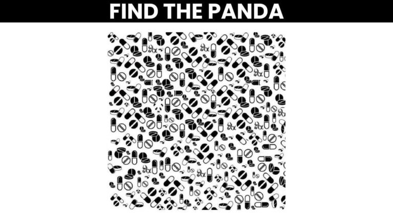 Picture Puzzle IQ Test: 99% Fail To Spot The Panda In 5 Seconds, Can You Find It?