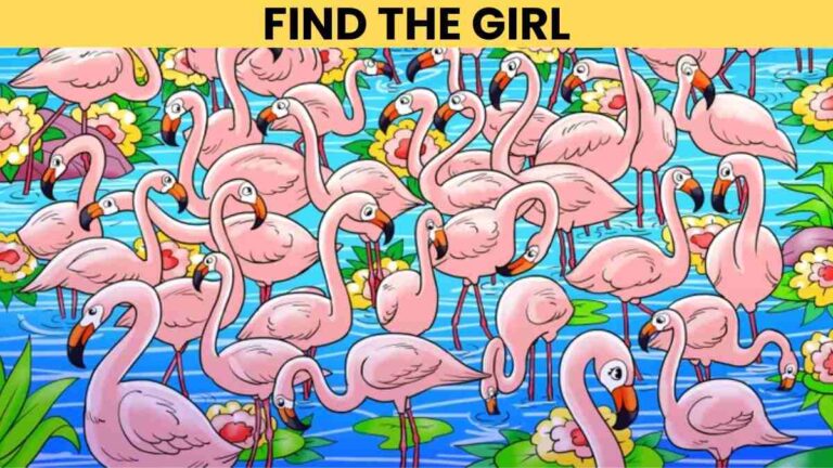 Picture Puzzle IQ Test: Can You Spot the Girl Among Flamingos In 5 Seconds?