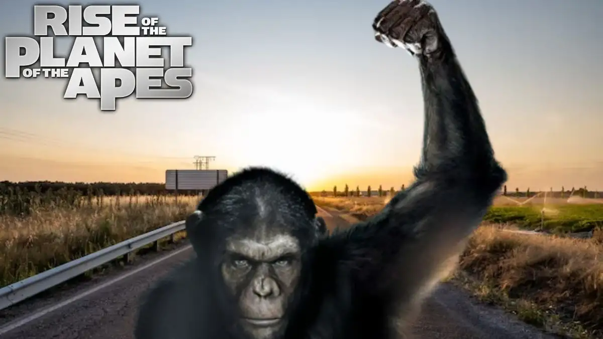 Rise of The Planet of The Apes Ending Explained