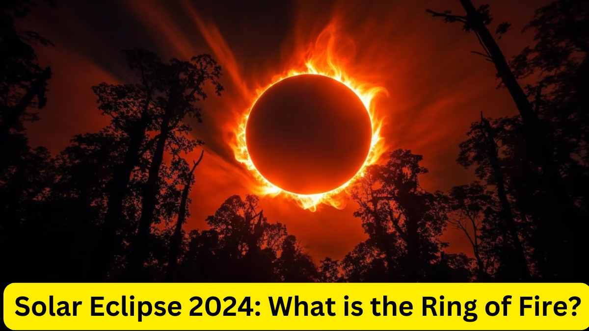 Solar Eclipse 2024: What is the Ring of Fire? Date and Time Check October Annular Eclipse