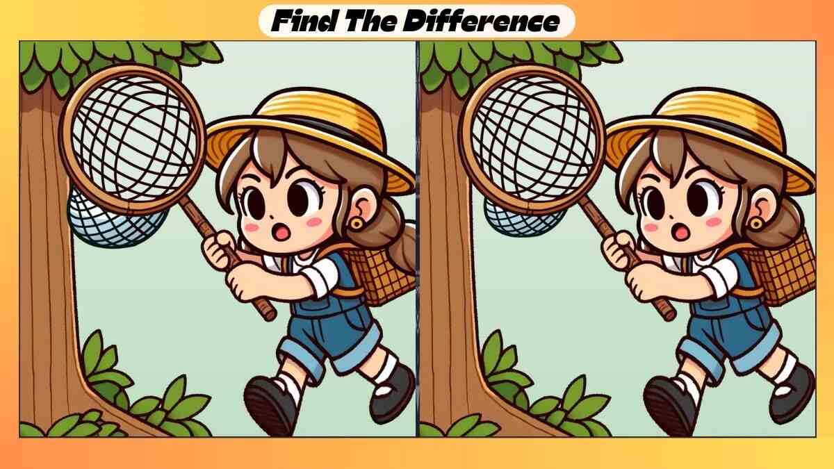 Spot 3 Differences Between Bug Catching Picture in 24 Seconds