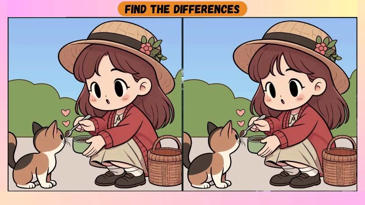 Spot 3 Differences Between Girl Feeding a Cat Pictures in 30 Seconds