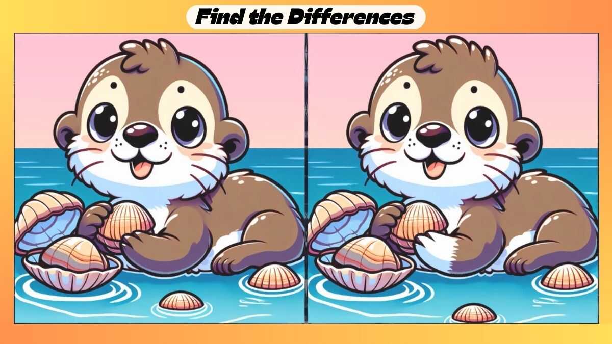 Spot 3 Differences Between Otter Pictures in 27 Seconds