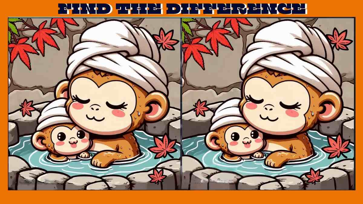 Spot 3 Differences in 15 Seconds in These Monkey Bathing Pictures!