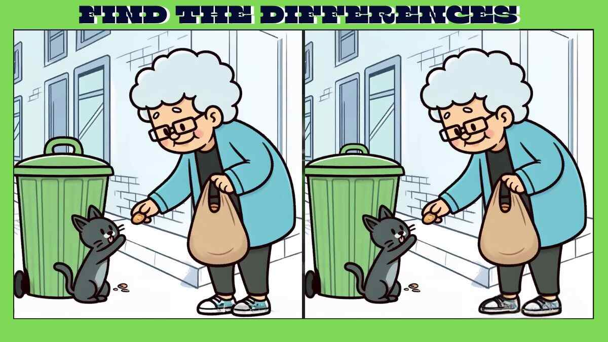 Spot 3 Differences in 16 Seconds in These Grandma Feeding Kitten Pictures!