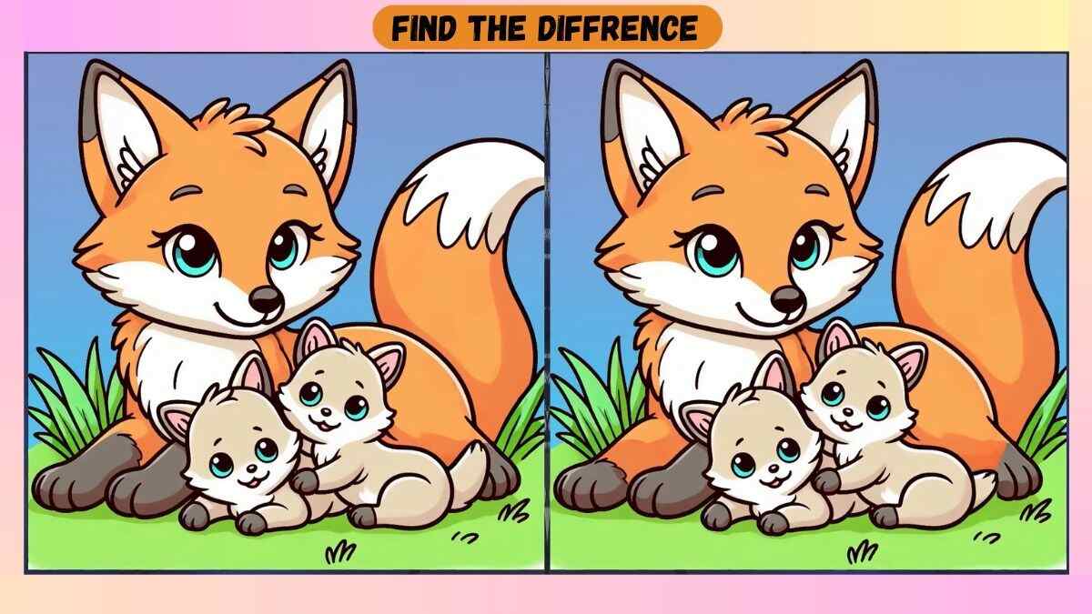 Spot 3 Differences in 32 Seconds in These Fox Family Pictures!