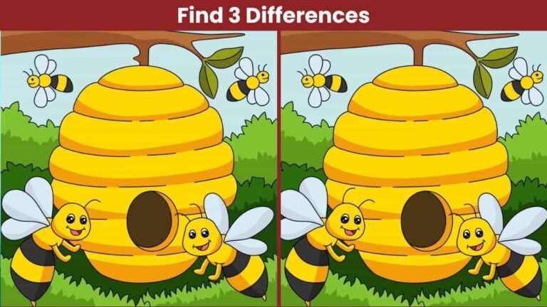 Spot 3 differences between the honeybee pictures in 19 seconds!