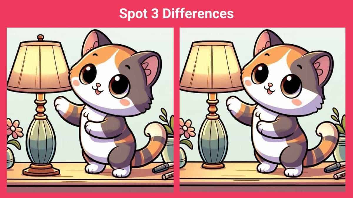 Spot 3 differences between the kitten pictures in 14 seconds!