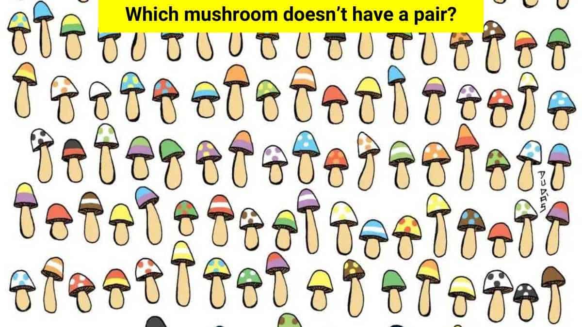 Visual Skill Test: Can you spot the lone mushroom in just 9 seconds?