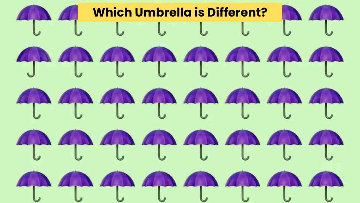 Visual Skill Test: Find the different umbrella in the picture in 3 seconds!