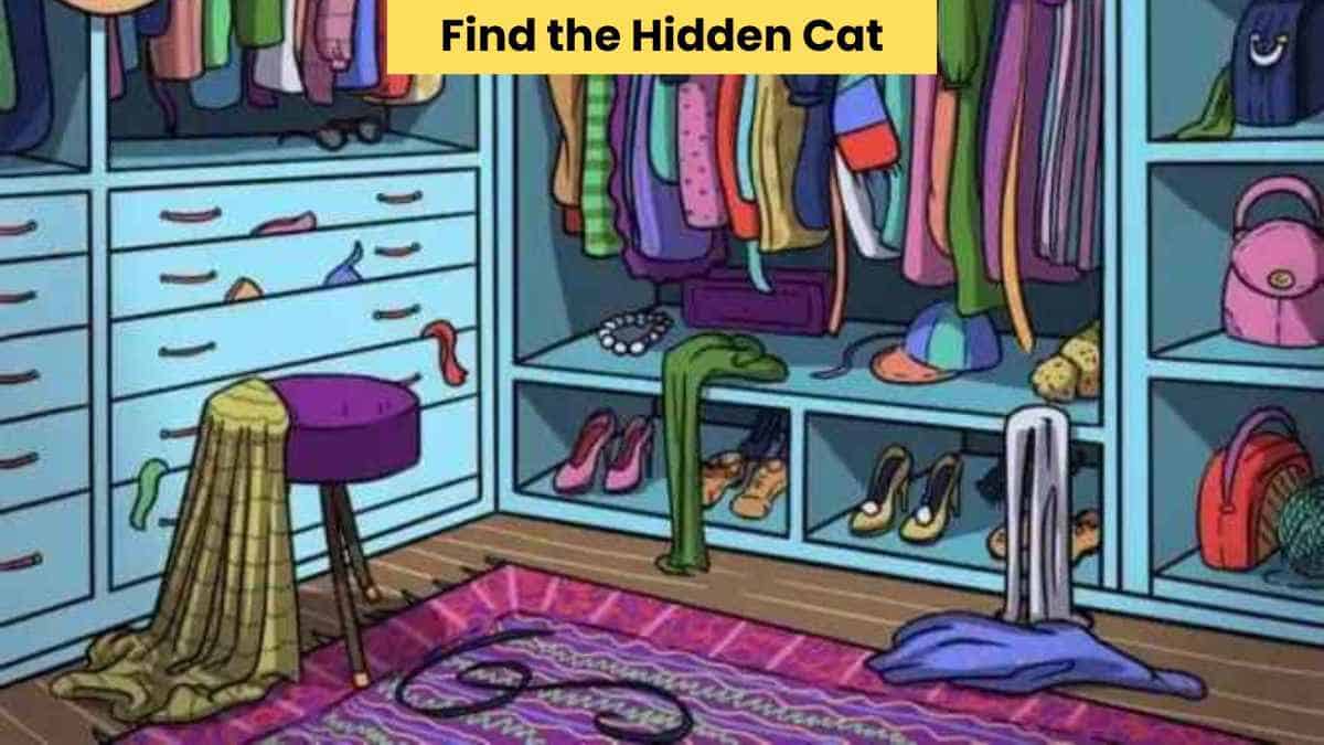 Visual Skill Test: Find the hidden cat in the picture in 7 seconds!