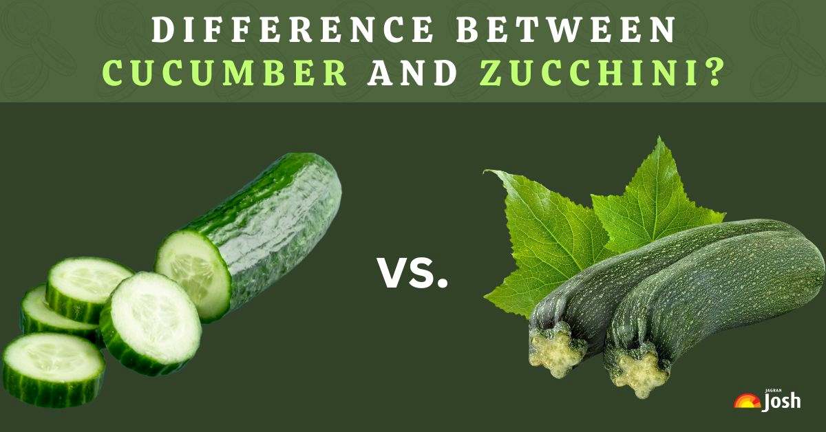 What is the difference between cucumber and zucchini?