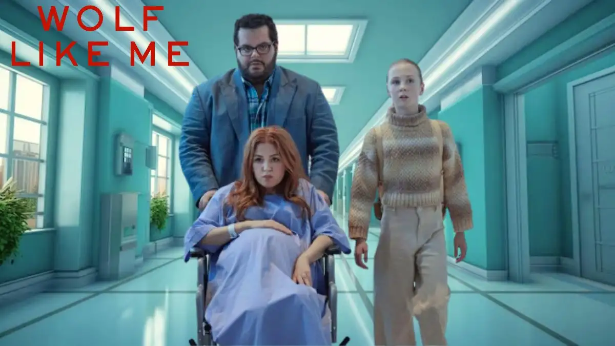 Will There Be a Wolf Like Me Season 3? Wolf Like Me Plot, Cast, Where to Watch, and Trailer