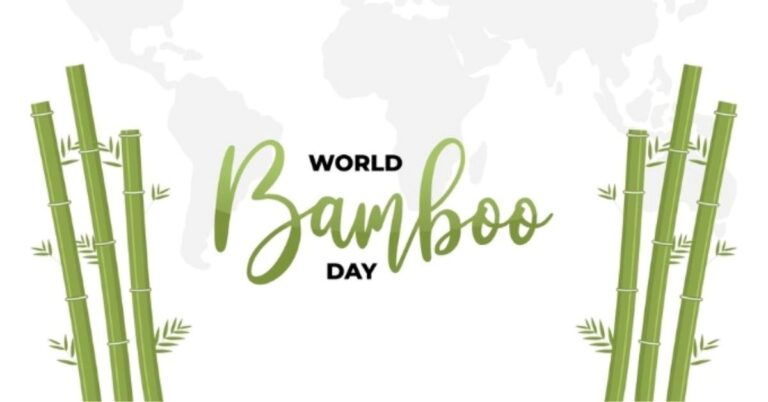 World Bamboo Day 2024: Types of Bamboo for Your Home, Check Details Here