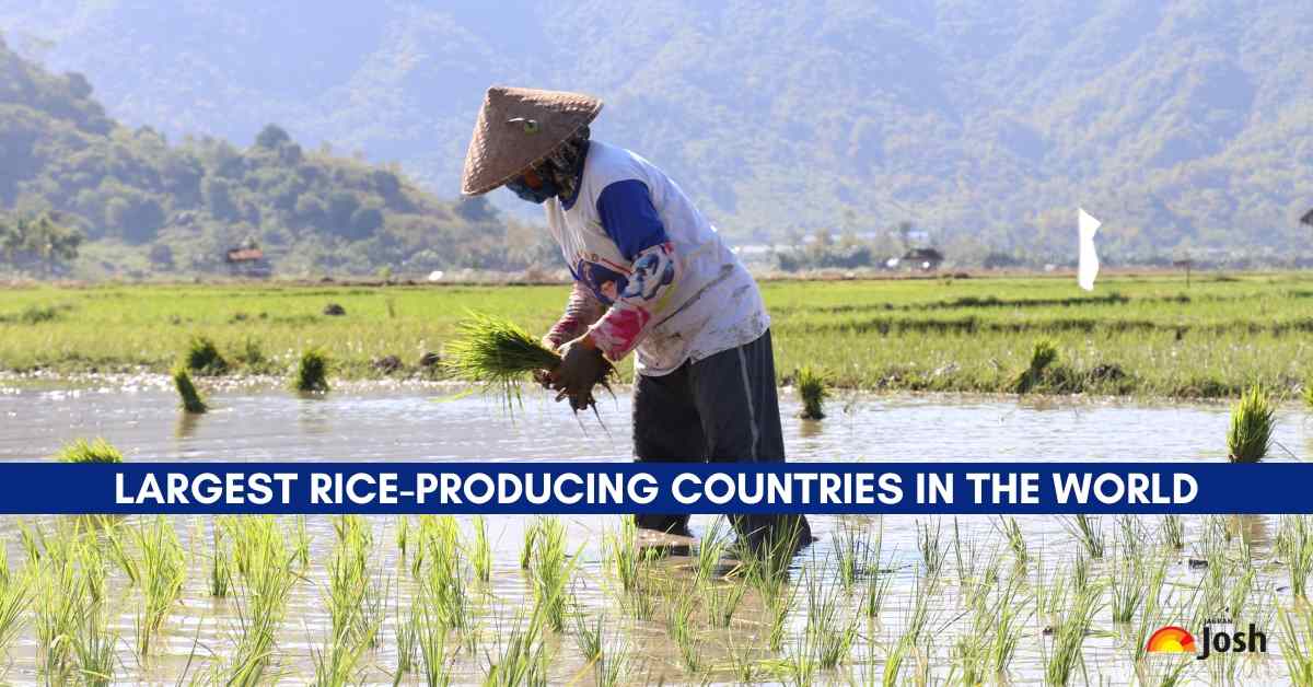 10 Largest Rice-Producing Countries in the World (2024)