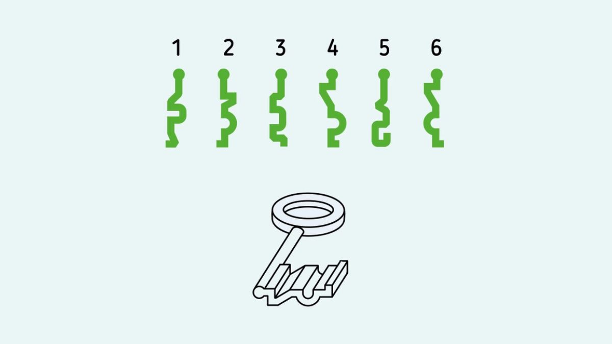 Brain Teaser: Can You Spot The Key Shape Correctly In 8 Seconds? Only 1% Pass This IQ Test!