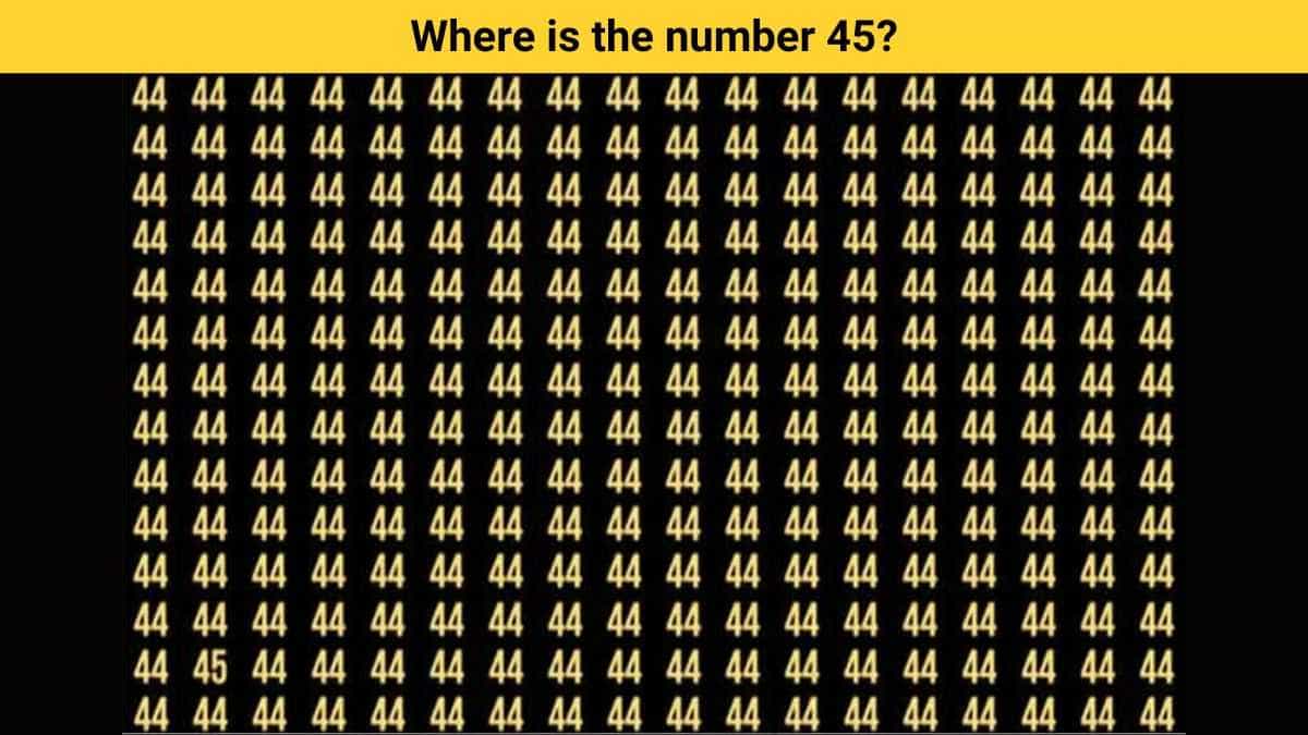 Brain Teaser IQ Test: Find the number 45 in 5 seconds!