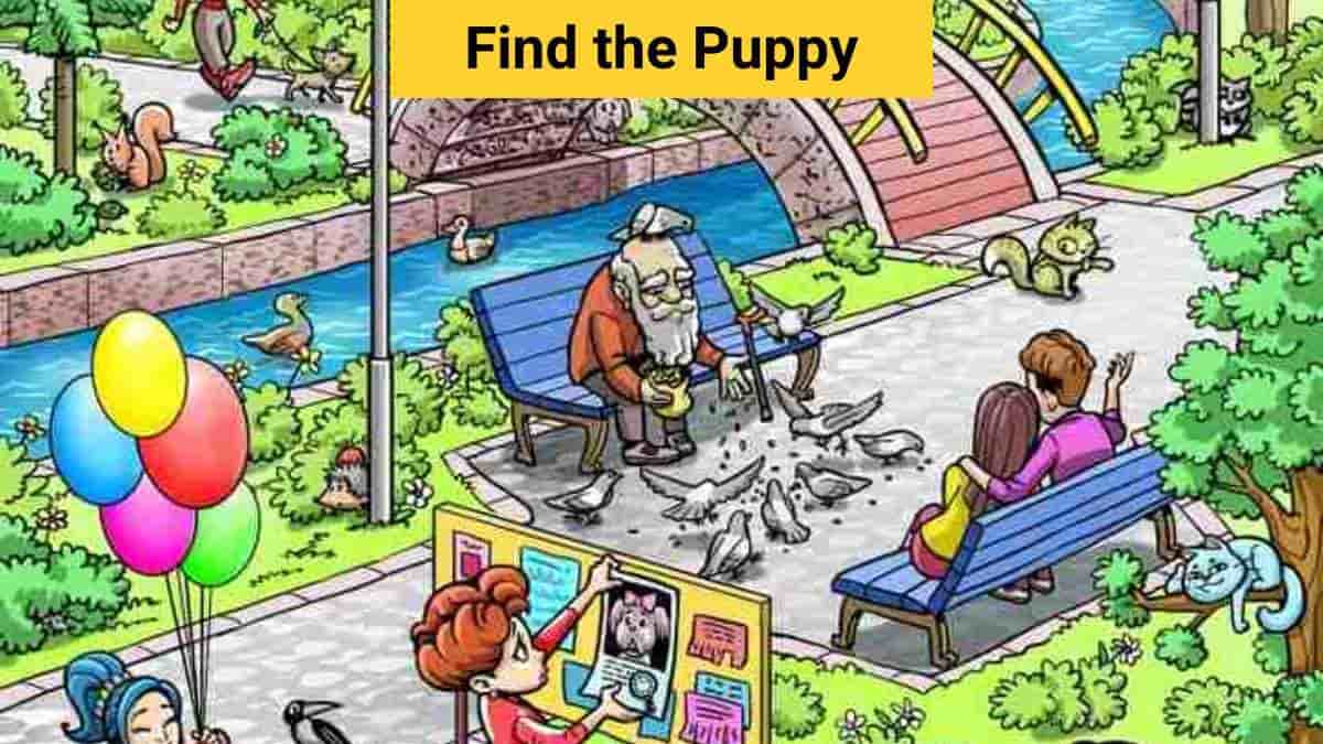 Brain Teaser IQ Test: Only eagle eyes can spot the puppy in the park in 7 seconds!