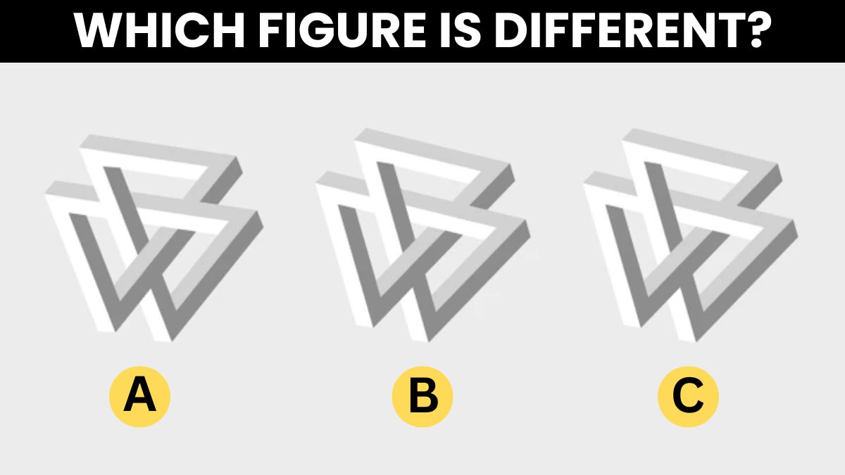 Brain Teaser IQ Test: Test Your Critical Thinking - Spot Which Figure Is Different In 5 Seconds!