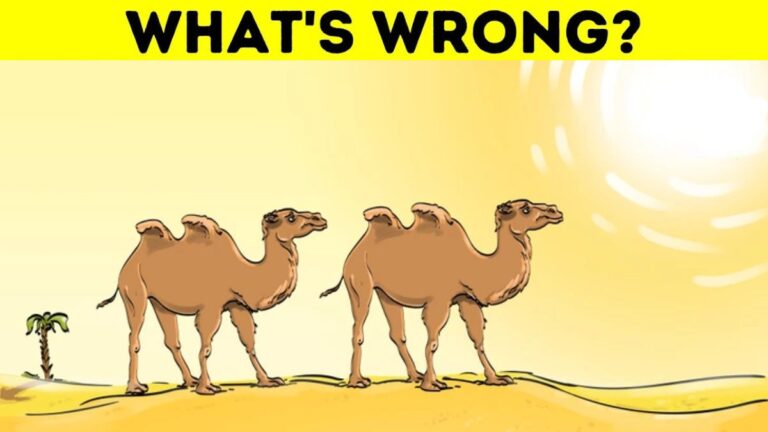 Brain Teaser IQ Test: Top 1% Genius Can Spot The Mistake In This Picture of Two Camels In 5 Seconds!