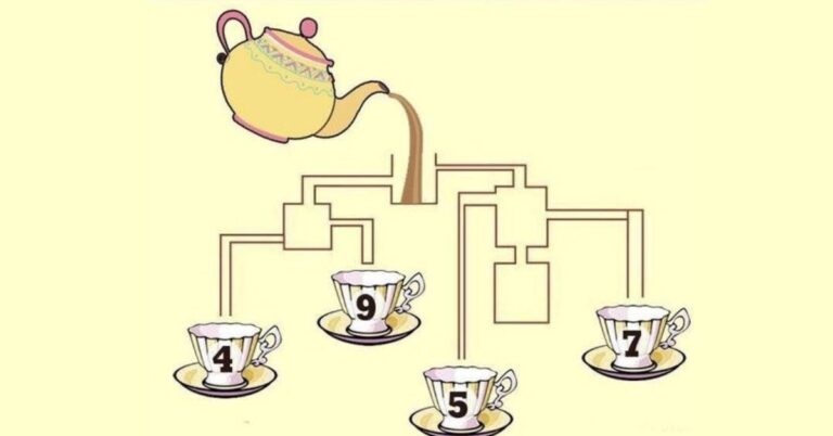 Brain Teaser: Only People With High IQ Above 125 Can Solve Which Cup Fills First in Just 7 Seconds!