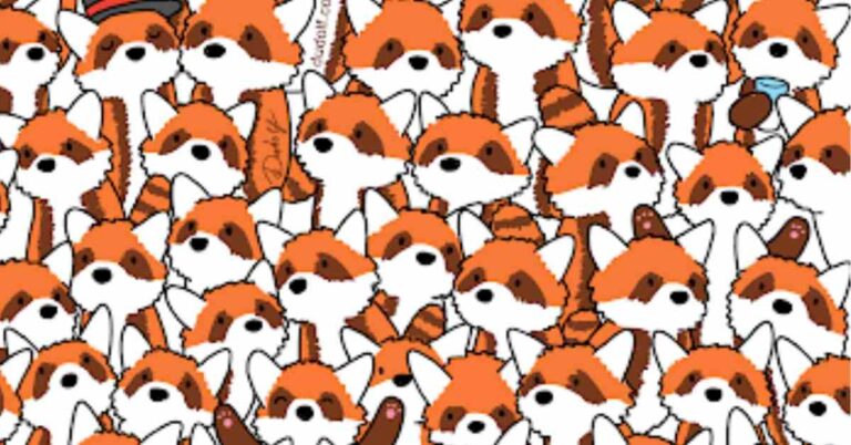 Challenge for the Top 3%: Only People With a High IQ Can Find Three Hidden Foxes in this Optical Illusion