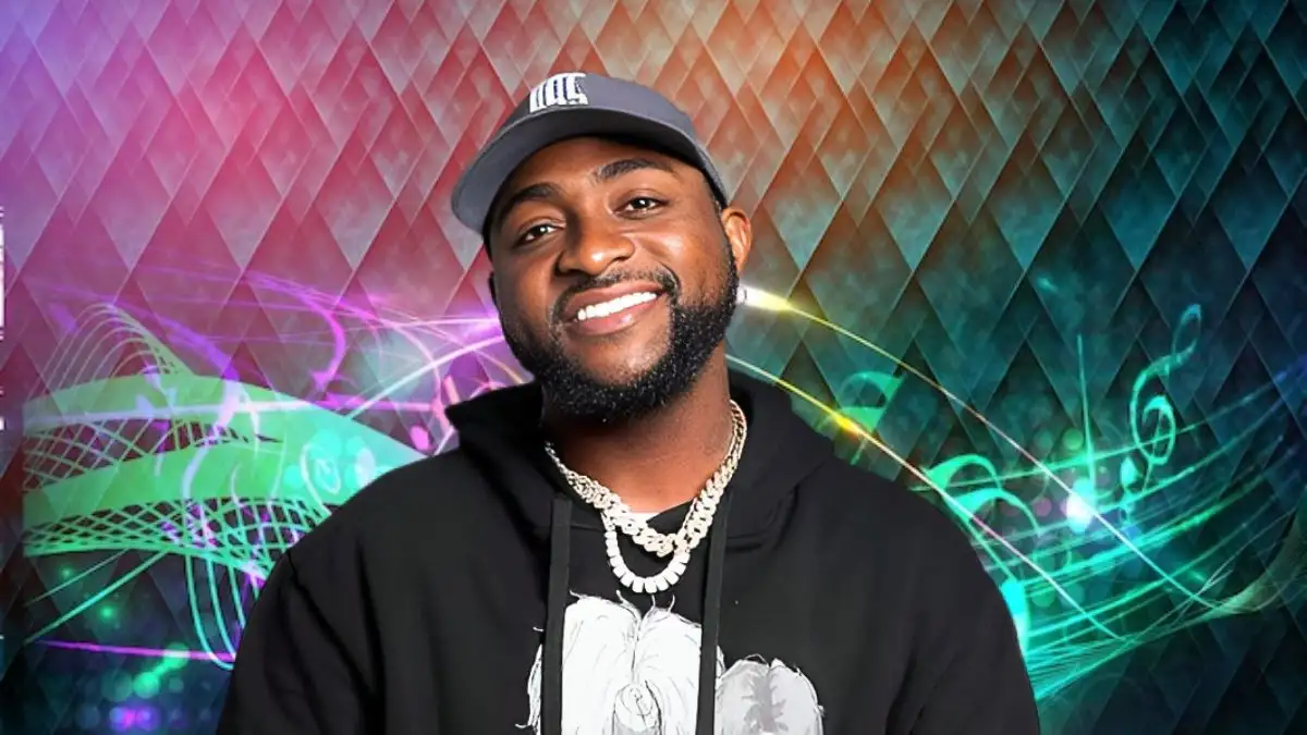 Davido Tour 2024 Dates, How to Get Davido Presale Code Tickets?