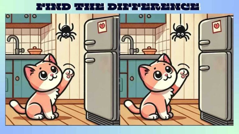 Find 3 Differences in 10 Seconds in Cute Kitten and Spider Pictures