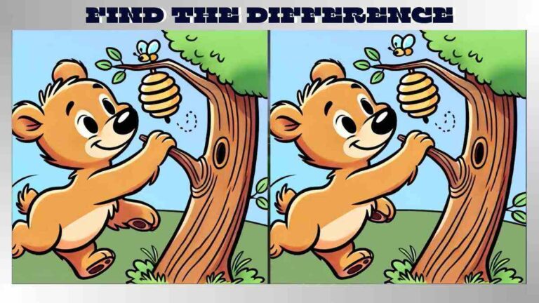 Find 3 Differences in 12 Seconds in Brown Bear and Beehive Pictures