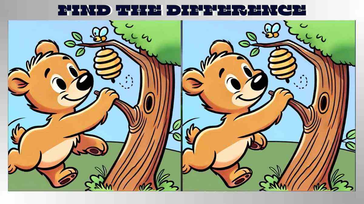 Find 3 Differences in 12 Seconds in Brown Bear and Beehive Pictures