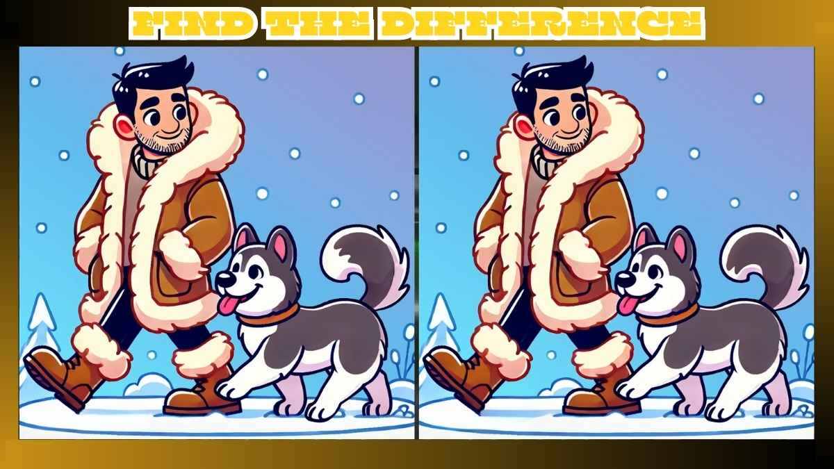 Find 3 Differences in 14 Seconds in Husky in Snow Pictures